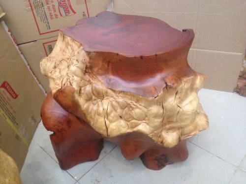 (MS DX213) ĐÔN ĐẠI GỐC NU LŨA XÁ XỊ ĐỎ