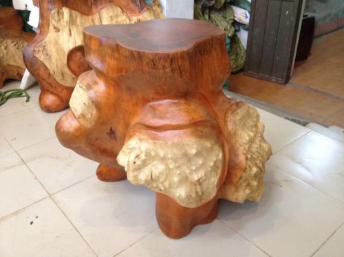 (MS DX383) ĐÔN ĐẠI GỐC NU XÁ XỊ ĐỎ